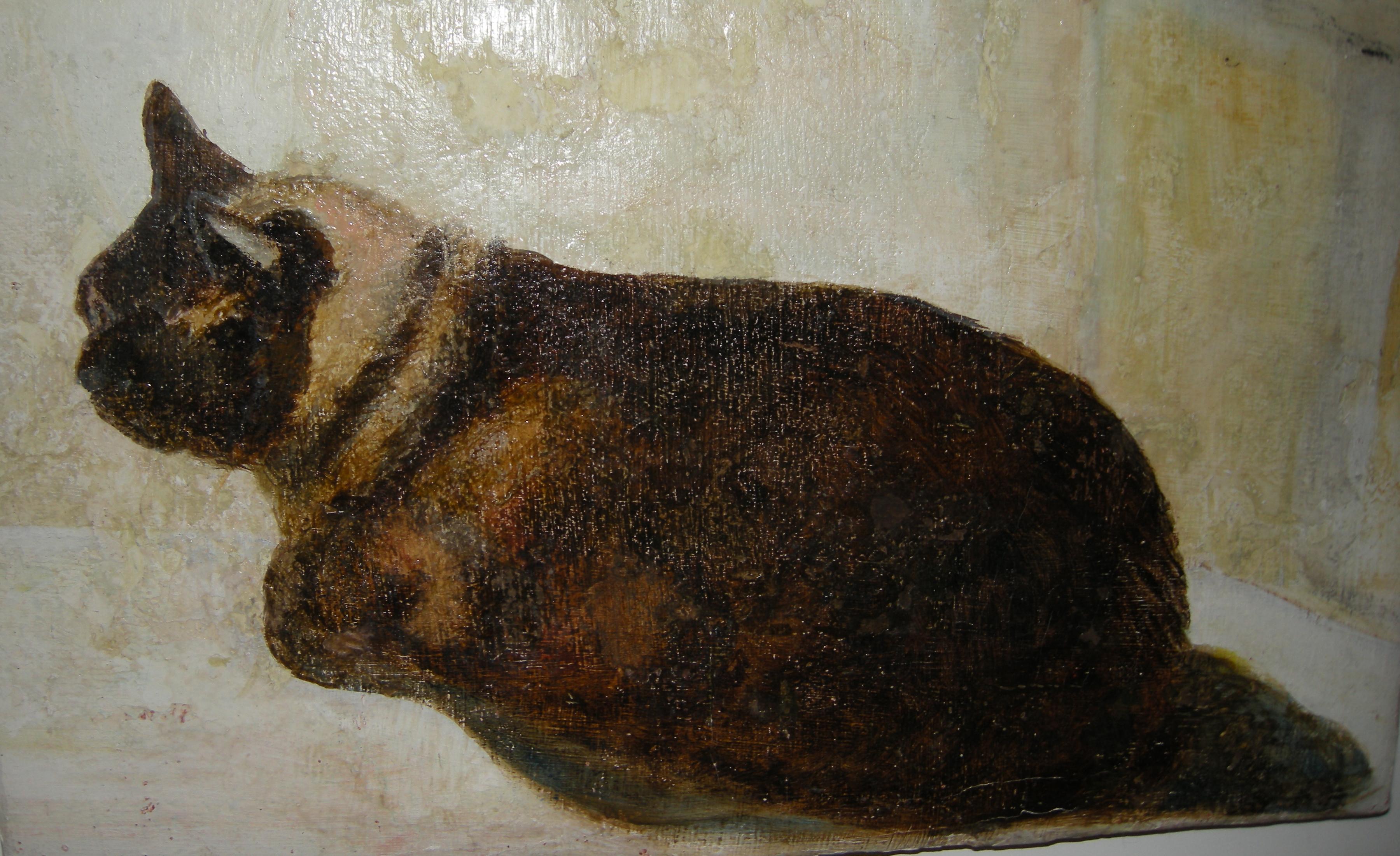 il-gatto-sam