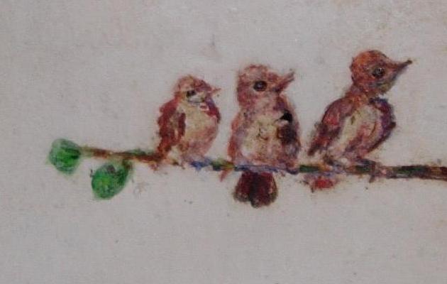 passerotti